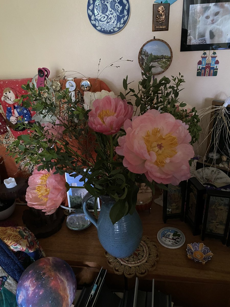 @Hedgewatchers Hello Brock and HQ, we are enjoying watching Annie’s flowers grow, one of our favourite flowers is the Peony. Annie got a beautiful bouquet on her birthday and she’s hoping to get one to plant very soon. ~ Phoebe & Teddy Henri #Hedgewatch