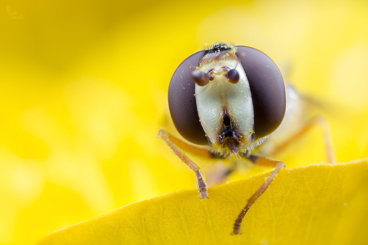 Matt Doogue tweet media