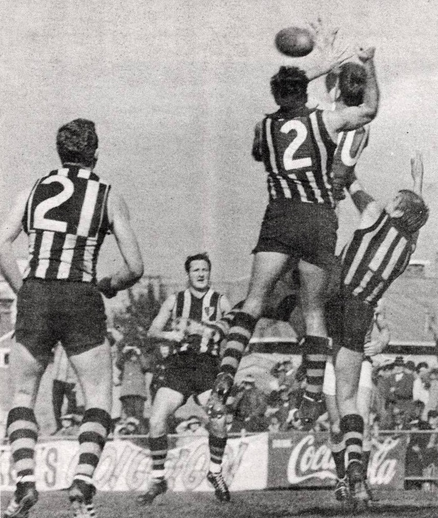 Peter McConnell tweet media