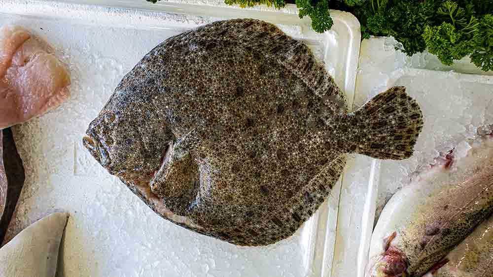 This turbot recipe pairs the fantastic fish with a luxurious champagne (or sparkling wine) sauce, a fitting combination. Recipe here >> buff.ly/4byGQd6 #fishmonger #muswellhill #crouchend