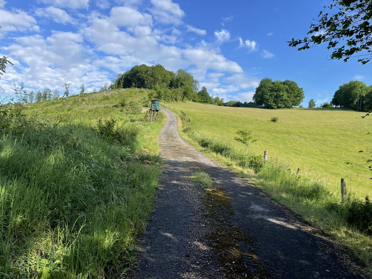 Im Schatten habe ich immer kurz Trinkpausen gemacht. Bei dem Wetter verliert man sehr schnell an Flüssigkeit. Der Anstieg nahm kein Ende. 😎✌️

#TortieingeheimerMission