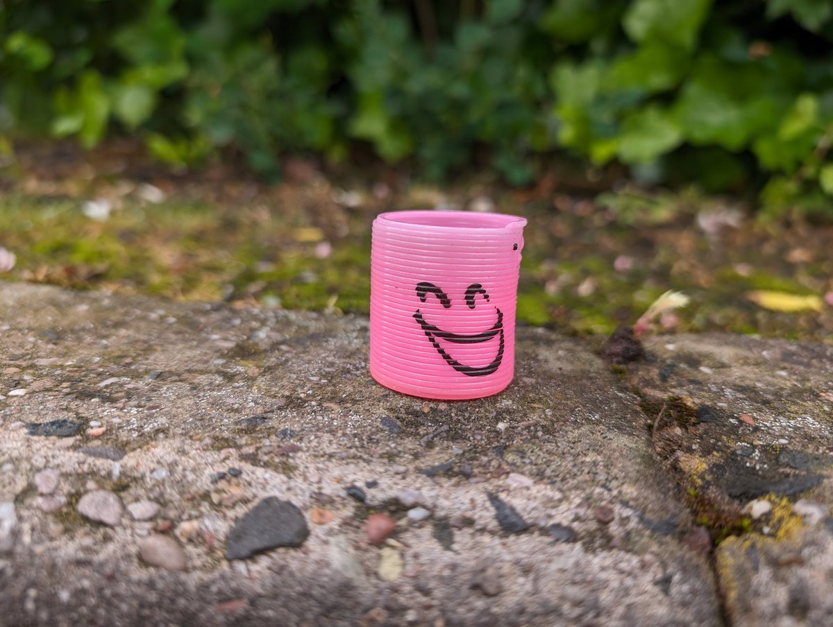 Leaving <a href="/cfconvention/">ConFuzzled</a> the other day we saw this lil guy. Keep slinking along!