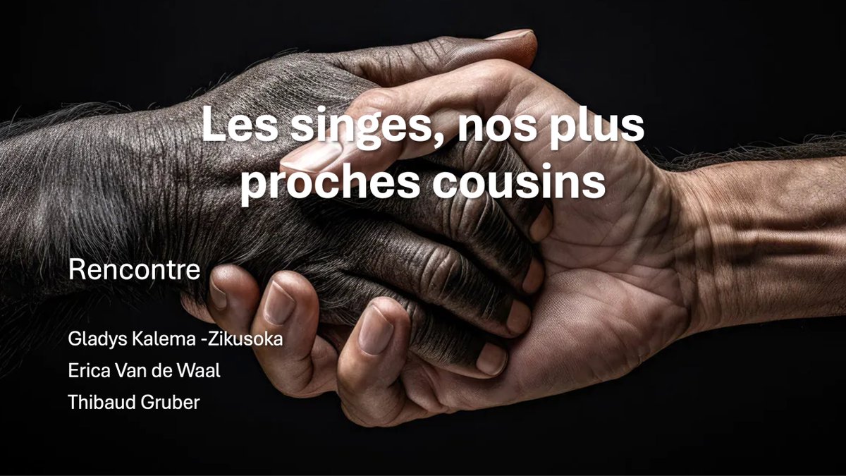 Marion de Vevey (@marion_devevey) on Twitter photo Les singes sont géniaux ! 🐒🦍 Pour savoir pourquoi, rejoignez-nous dimanche aux Mystères de l'<a href="/unil/">Université de Lausanne</a>. Nous parlerons gorilles, singes vervet et chimpanzés avec <a href="/DoctorGladys/">Gladys K Zikusoka</a>, Erica van de Waal et <a href="/bonobo_style/">Thibaud Gruber</a>
C'est gratuit sur inscription : bit.ly/450hceV 🦍 Les singes sont géniaux ! 🐒🦍 Pour savoir pourquoi, rejoignez-nous dimanche aux Mystères de l'<a href="/unil/">Université de Lausanne</a>. Nous parlerons gorilles, singes vervet et chimpanzés avec <a href="/DoctorGladys/">Gladys K Zikusoka</a>, Erica van de Waal et <a href="/bonobo_style/">Thibaud Gruber</a>
C'est gratuit sur inscription : bit.ly/450hceV 🦍