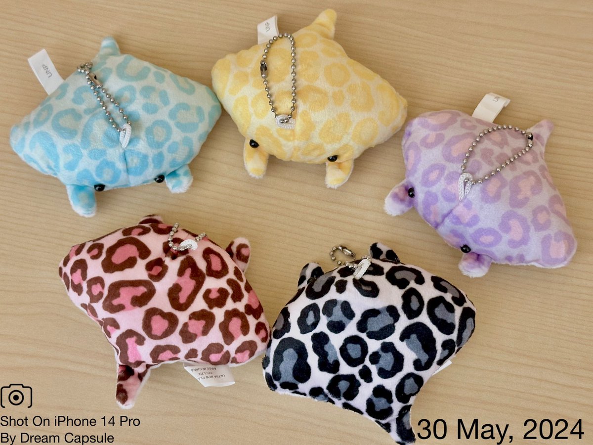 🌟新入荷ガチャ商品プレゼントCP🌟 平成レトロ風で可愛い💕ドリーム