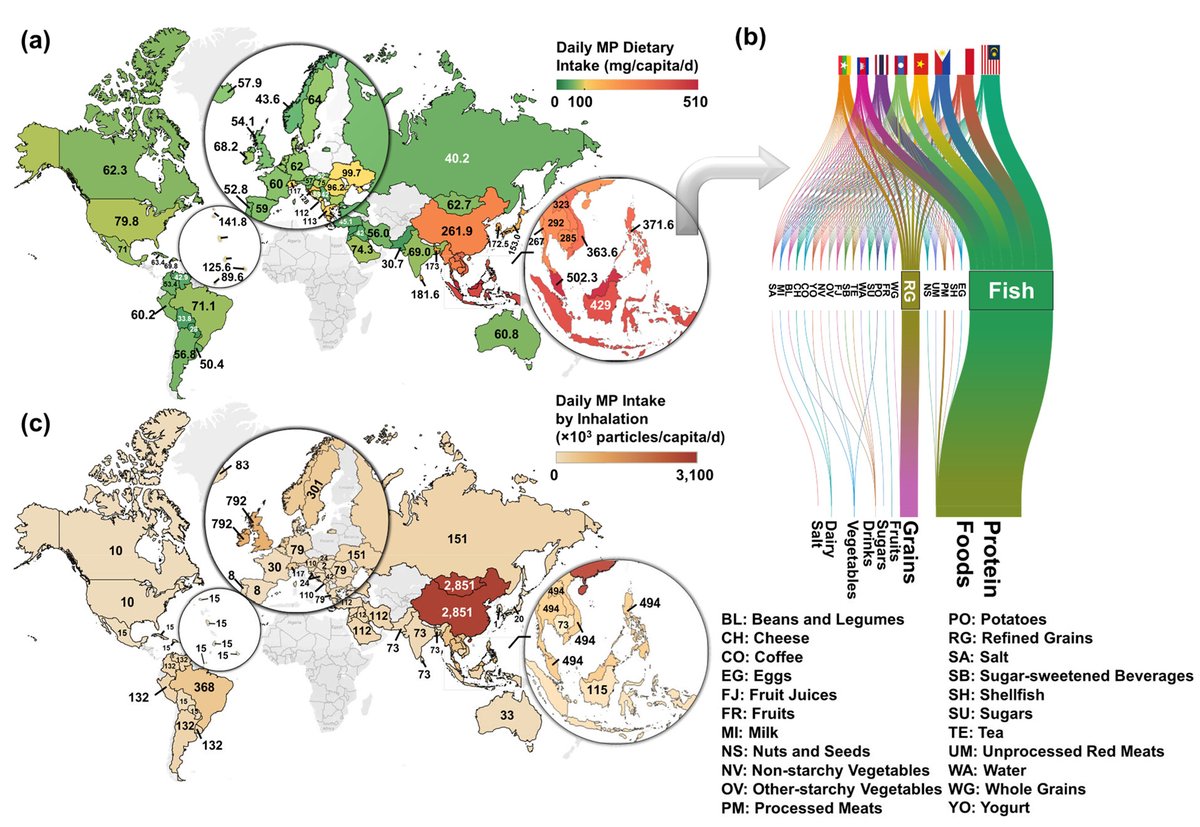 AssaadRazzouk's tweet photo. We have sadly reached the age where we can produce scientific maps of the "per capita daily MP dietary and inhalation uptake rates at the country level in 109 countries", detailing who is eating them most vs. who is breathing them most

It's all from fossil fuels and Big Oil: plastic is 99% oil and has hundreds of millions of dollars of lobbying behind it, poisoning action against it

Cornell researchers have mapped it all - down to our beans, coffee, sugar, fruits, milk, nuts and seeds, vegetables, meats, potatoes, grains, salt, sugars, everything we drink, shellfish, tea and yoghurt. And of course the air we breathe.

If you're in Indonesia, Malaysia and the Philippines, you're top of the global per capita list of dietary uptakes of microplastics. But if you're in China, or the UK for example, then you're top of the global per capita list of those who breath the most microplastics.

This is a global environmental and health catastrophe, enabled by Big Oil. We need nothing short of an enforcement of the "polluter pays" and the "producer liability" principles; a global ban on single-use plastic globally; and a gradual phase-out of plastic from almost everything

Study: https://t.co/HP2D9oMP4t