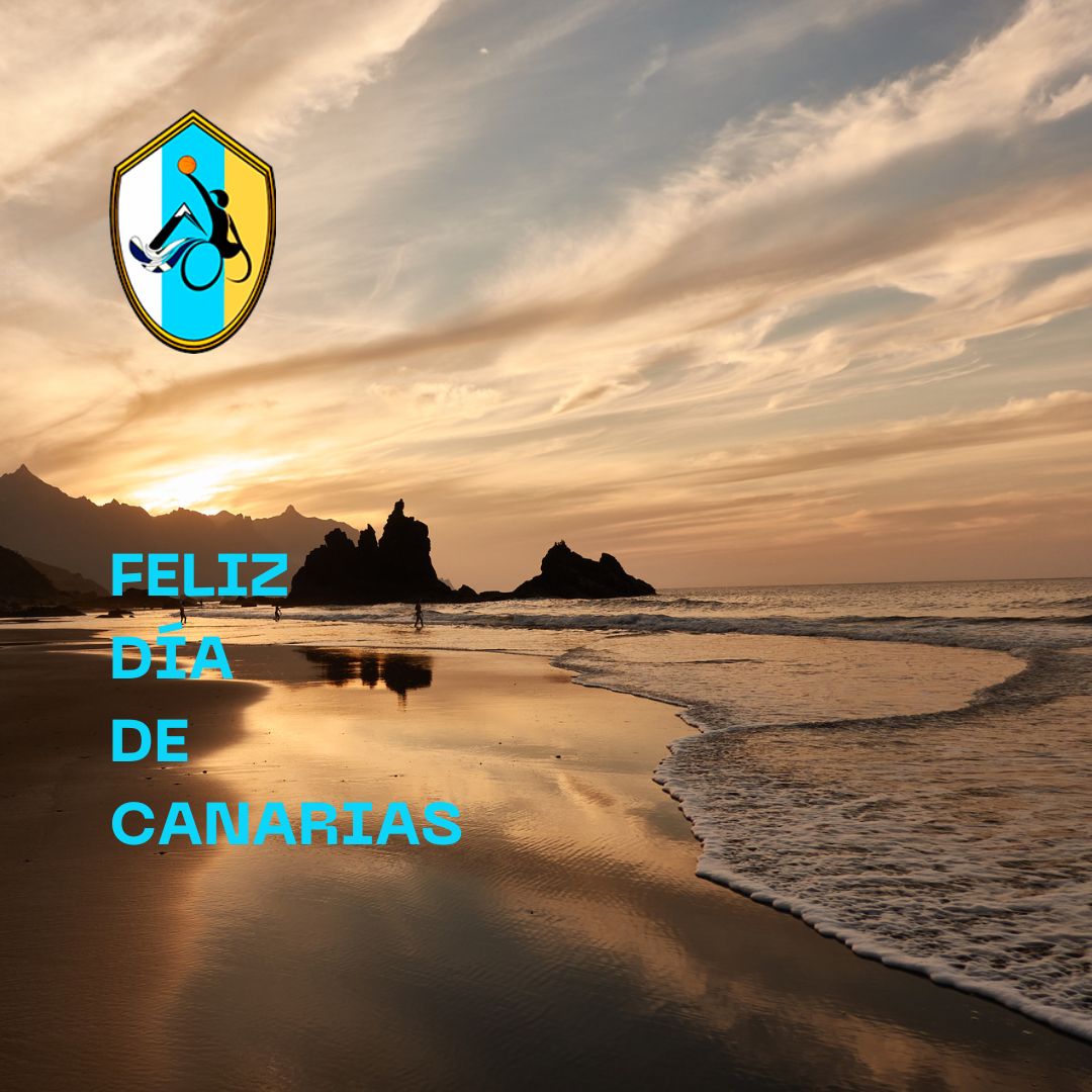 ADEIN Tenerife Fundación CB Canarias (@AdeinTenerife) on Twitter photo 2024-05-30 09:15:52