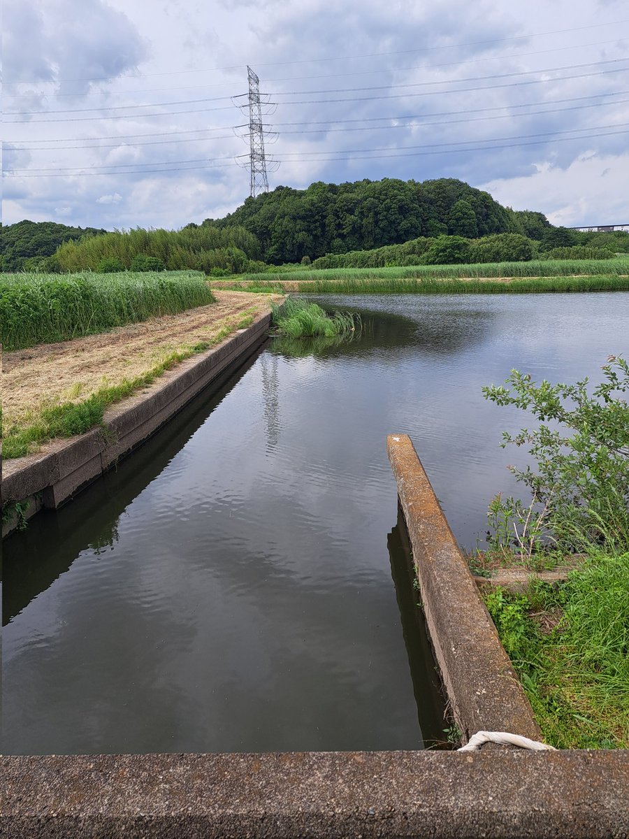 mgJqCyblFZh3O9I's tweet photo. 二回目の利根運河。
ひたすらカバー打ちしてチャター巻きまくったけど無。
でもここ面白い。
#モンストロg79mhc
#black9
#bカスタムチャター https://t.co/jSnFSmnIdp