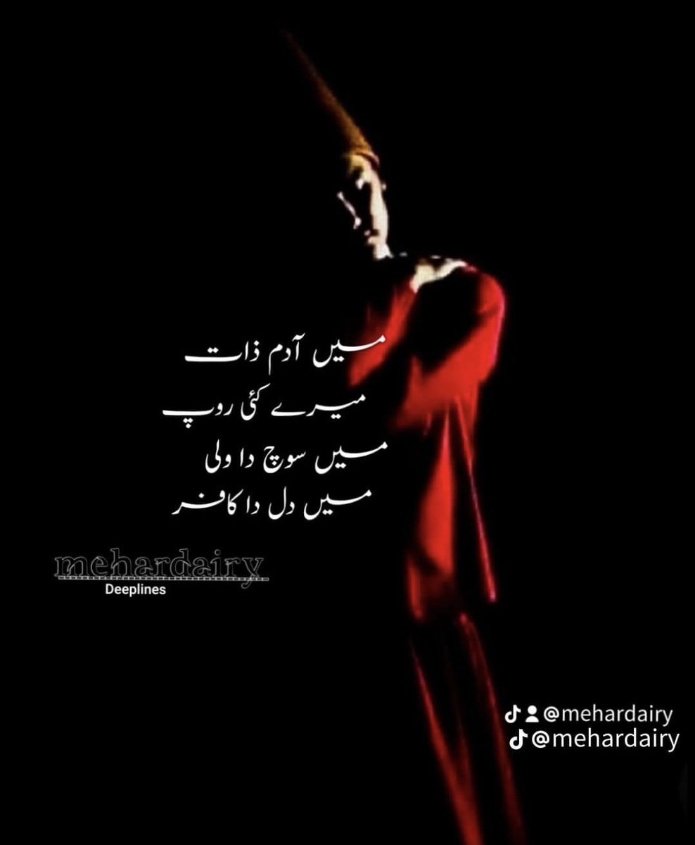 میں آدم ذات
میرے کئی روپ
میں سوچ دا ولی
میں دل دا کافر