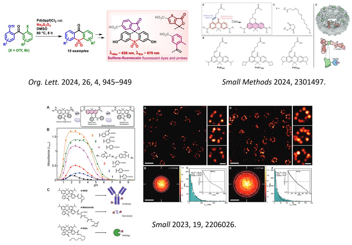 Stefan Hell Labs (@stefanhelllabs) on Twitter photo Recent papers:
G. Knorr, M.L. Bossi, A.N. Butkevich, S.W. Hell in Organic Letters (2024)
pubs.acs.org/doi/10.1021/ac…
M. Remmel et al. (2024) in Small Methods
onlinelibrary.wiley.com/doi/10.1002/sm…
M. Remmel, L. Scheiderer, A.N. Butkevich, M.L. Bossi,S.W. Hell in Small (2023)
onlinelibrary.wiley.com/doi/full/10.10… Recent papers:
G. Knorr, M.L. Bossi, A.N. Butkevich, S.W. Hell in Organic Letters (2024)
pubs.acs.org/doi/10.1021/ac…
M. Remmel et al. (2024) in Small Methods
onlinelibrary.wiley.com/doi/10.1002/sm…
M. Remmel, L. Scheiderer, A.N. Butkevich, M.L. Bossi,S.W. Hell in Small (2023)
onlinelibrary.wiley.com/doi/full/10.10…