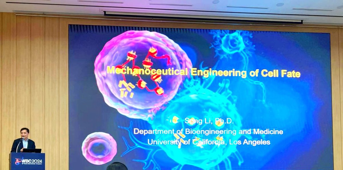 Confinement Mechanobiology Lab at MBI (@confinementlab) on Twitter photo Awesome talk by Prof. Song Li <a href="/songli_UCLA/">Song Li</a> at the Mechanobiology with Biomaterials sessions discussing the role of substrate stiffness and ECM proteins in mechanotransduction . - SS
<a href="/2024Wbc/">12th World Biomaterials Congress (WBC 2024)</a> <a href="/MBIsg/">Mechanobiology Institute</a> Awesome talk by Prof. Song Li <a href="/songli_UCLA/">Song Li</a> at the Mechanobiology with Biomaterials sessions discussing the role of substrate stiffness and ECM proteins in mechanotransduction . - SS
<a href="/2024Wbc/">12th World Biomaterials Congress (WBC 2024)</a> <a href="/MBIsg/">Mechanobiology Institute</a>