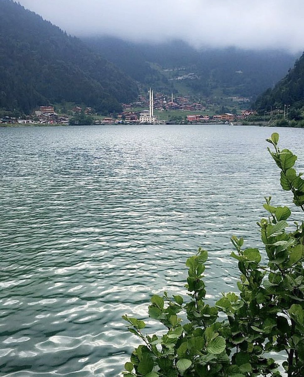 #اوزنجول
#الشمال_التركي

maps.app.goo.gl/JKZ5TAmdcLh6c2…