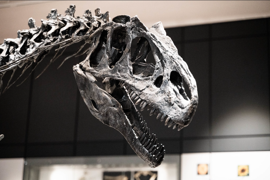 International Centre for Heritage tweet media