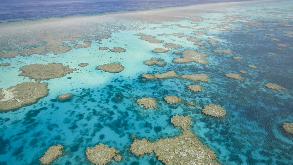 💻 Drone technology and cutting-edge analytical methods are being used to map the challenging to access, intertidal coral reefs of the Rowley Shoals. 🐡 🦐 🐚 #UWA @CWSS_UWA <a href="/uwaoceans/">UWA Oceans Institute</a> <a href="/aims_gov_au/">Australian Institute of Marine Science</a> 

bit.ly/3X1fVSI
