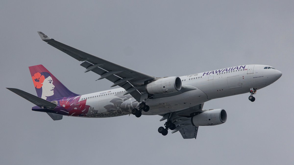 eos40is's tweet photo. 横田基地 08:57 R/W36↘︎
Hawaiian Airlines
Airbus 332 N396HA
NRT ✈︎ OKO
お久しハワイアン🌺

#HAL8912 #Keoe #Vega https://t.co/sCvTYwQFE0