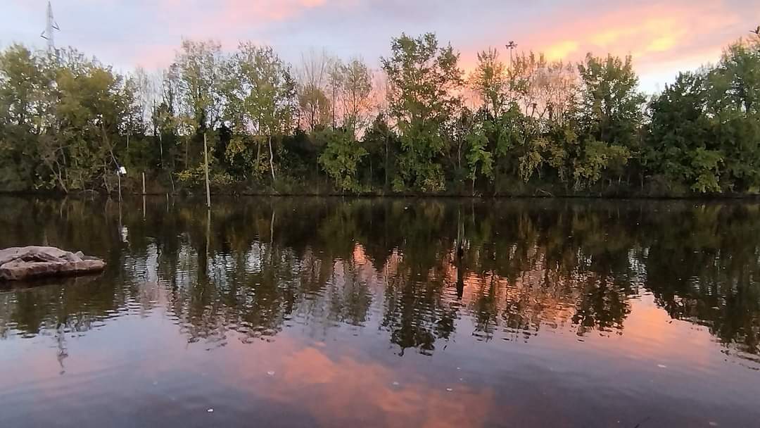 donosti_city's tweet photo. Un recorrido guiado por Plaiaundi, un rincón sorprendente de Gipuzkoa.

Planes para toda la familia.
@evousky @Ekoetxea_eus

https://t.co/BTiLfG2g7i https://t.co/ISFDJQZrTS