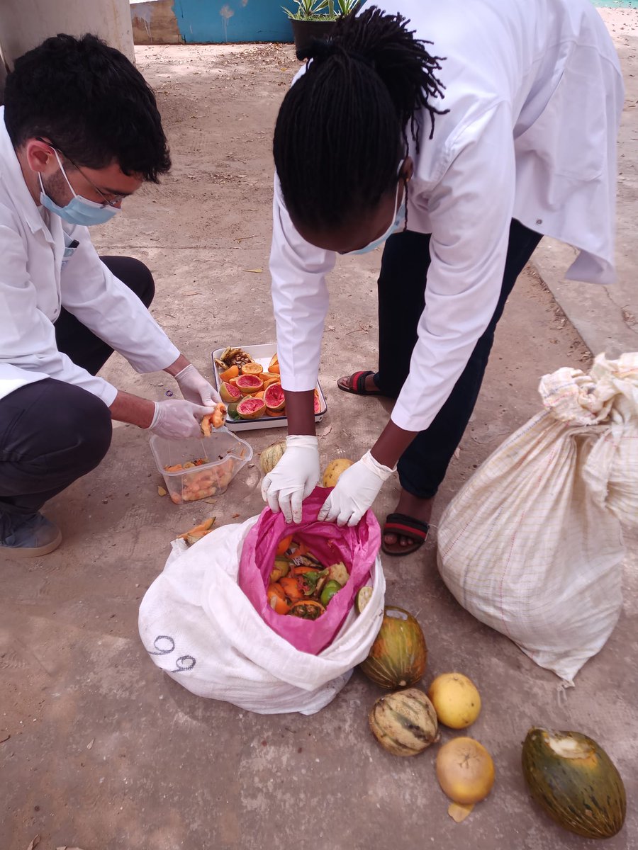 BETA_TechCentre's tweet photo. 📢 One of our #PhD students received the @AWARDFellowship to study climate change adaptation in Africa.
▶️The fellowship enabled him to use agri-food wastes to produce #biostimulants, mitigating #climatechange’s negative effects on #agriculture.
👉 https://t.co/nmfKUY6E5e https://t.co/Gy20SV81fo