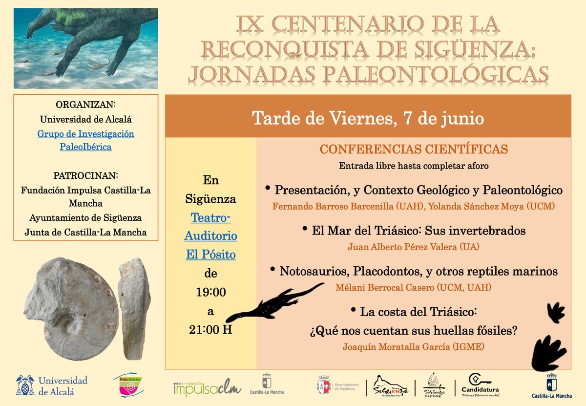 Mely_Berrocal's tweet photo. ¿Quieres saber sobre la #geología y los yacimientos #paleontológicos del #Triásico del #Anticlinal de #RibadeSantiuste? 🗓️Nos vemos el viernes 7 junio de 19:00 a 21:00 en #Sigüenza
ENTRADA LIBRE Y GRATUITA
#impulsacastillalamancha #paleontología #geologia #Guadalajara https://t.co/YxJusc5LWT
