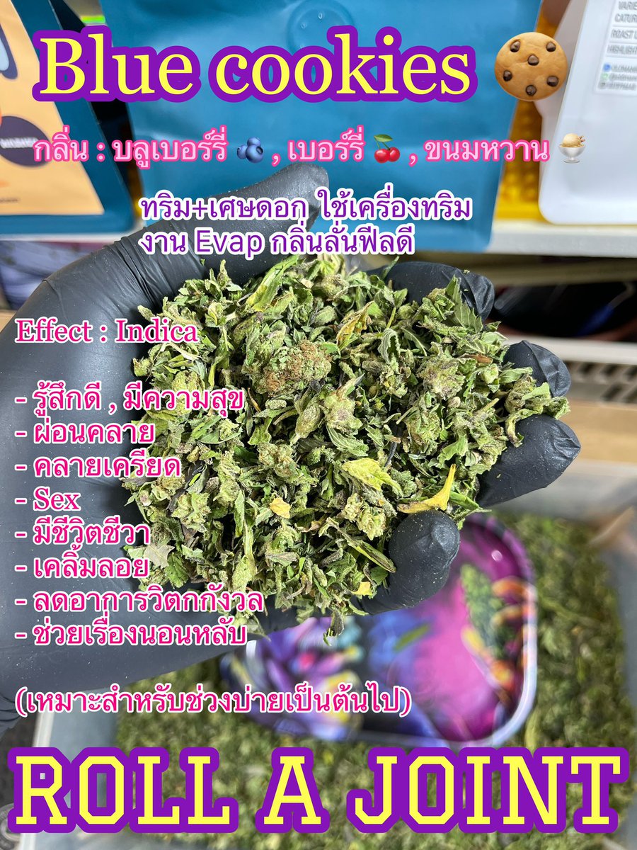 Bobby girl 🦕☄️🪐🥦 tweet media