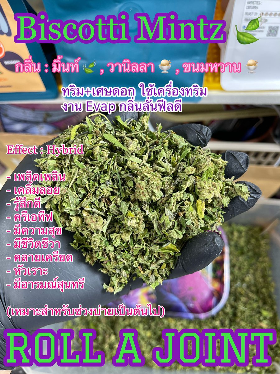 Bobby girl 🦕☄️🪐🥦 tweet media