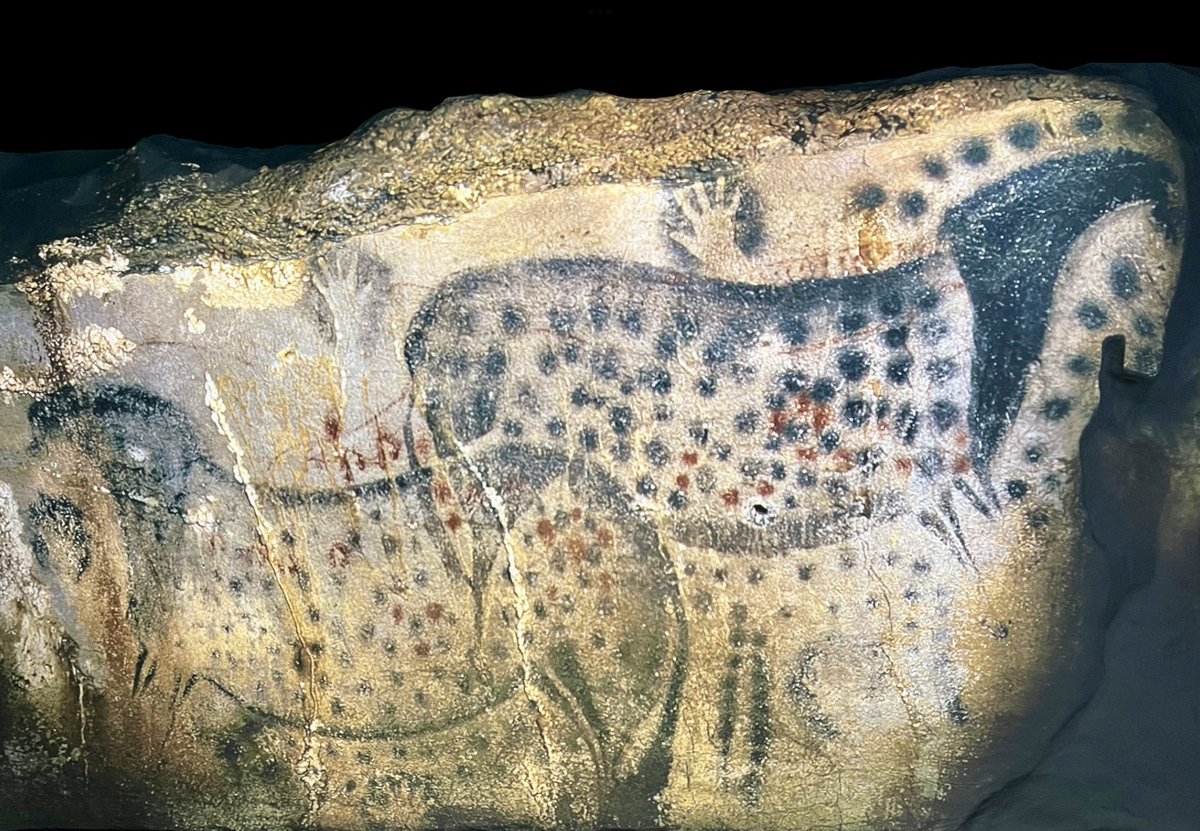 Spotted Horses at Pech Merle Cave, France. 

Wonderful Paleolithic cave art painted some 32,000 to 26,000 years ago.

Take a virtual visit of the painted cave of Pech Merle on this link: en.pechmerle.com/the-prehistory…

My photo is of a digital image at the recent Art and Prehistory
