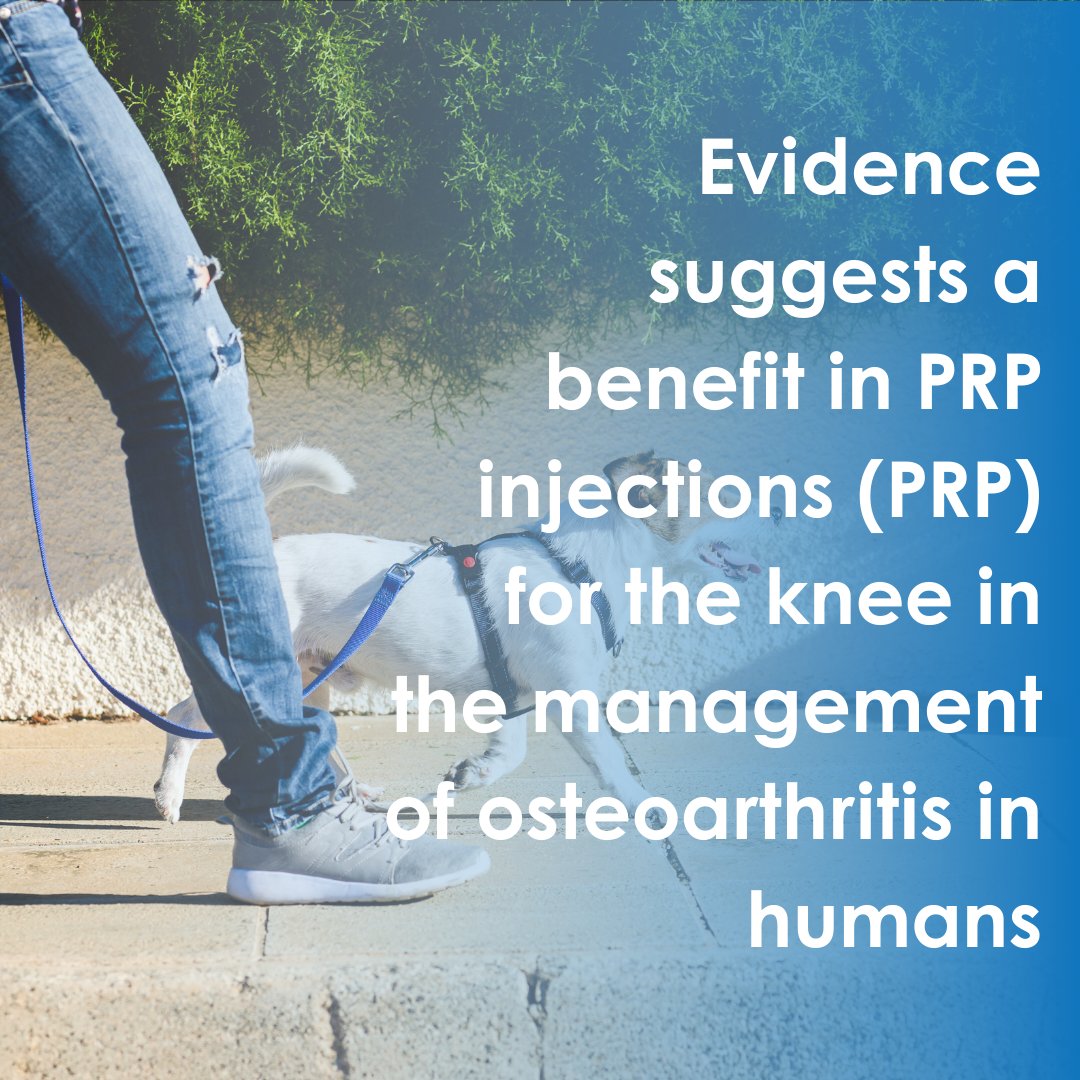 A growing body of evidence in human and veterinary medicine supports the use of PRP for soft tissue injuries, skin wounds and in treatment protocols for Osteoarthritis.

Learn more about our PRP treatment options on our website 🔗 celltherapysciences.co.uk/pet-owners