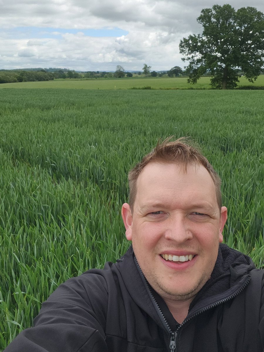 willynic's tweet image. Obligatory dull selfie whilst out looking at one of @SipcamUK fungicide trials in Gloucestershire yesterday. Septoria prominent in lower untreated canopy at present. Good to keep my trial eye in from time to time anyway!
 
#sipcamUK #winterwheat #fungicide #vertipin