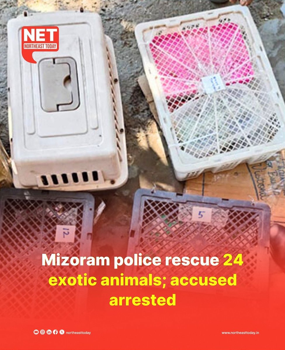 #Mizoram | The Mizoram police have rescued around 24 exotic animals, including snakes, turtles, and monkeys, from a vehicle at the Kanhmun police check post, near the Mizoram-Tripura border, officials said on Thursday.

The driver and owner of the car are identified as
