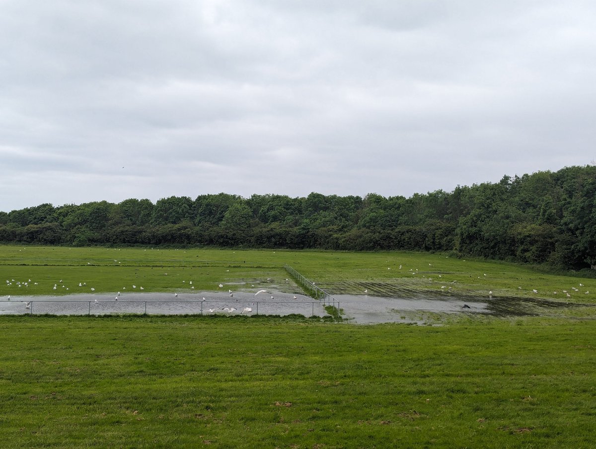 NESPORTYOUTH's tweet image. no doubt the worst year yet, #Waterlogged #Rain #Sunderland