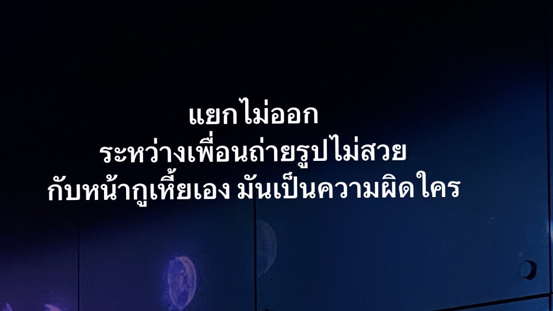 기 tweet media