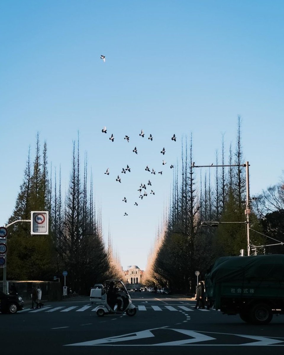 FSTokyo's tweet image. Snippets of life in trendy #aoyama. A place where the cool kids gather, this fashionista hub finds its most poised moments during daytime. 

Photo by @pics_yyy bit.ly/4dTmZH8

#fstokyo #japan