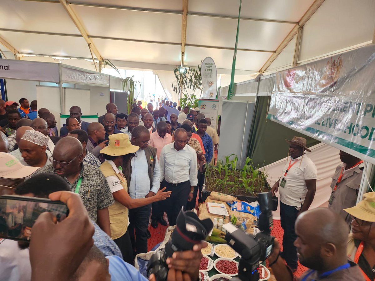 KCEPCRAL's tweet photo. It was a great pleasure to have the Cabinet Secretary for @kilimoKE , Hon. @mithika_Linturi visit the @KCEPCRAL stand at the pre- #MadarakaDay 2024 exhibition that is ongoing at @KibabiiUni in @BungomaCountyKe . #KCEPCRAL #ResilientLivelihoods https://t.co/9hE0TyoiSz