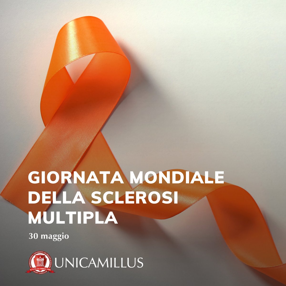 unicamillus's tweet photo. 📌 30 maggio: UniCamillus celebra la Giornata mondiale della Sclerosi Multipla 🧡
🎈Join us as we stand in solidarity with the global MS movement 💪❤️ using the hashtags #WorldMSDay and #MSConnections.
#UniCamillus #SclerosiMultipla #RicercaSM #AISM @WorldMSDay https://t.co/GPd0dRRS35