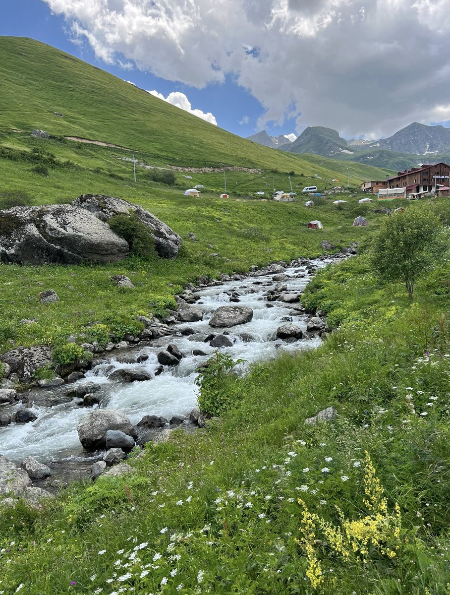 dalel_trabzon's tweet photo. #ديميركابي
#الشمال_التركي 

https://t.co/sgokrIskCm https://t.co/tl1z28eH9K