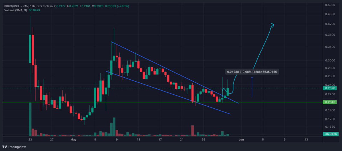 $PBUX is running nice +19% up 🚀