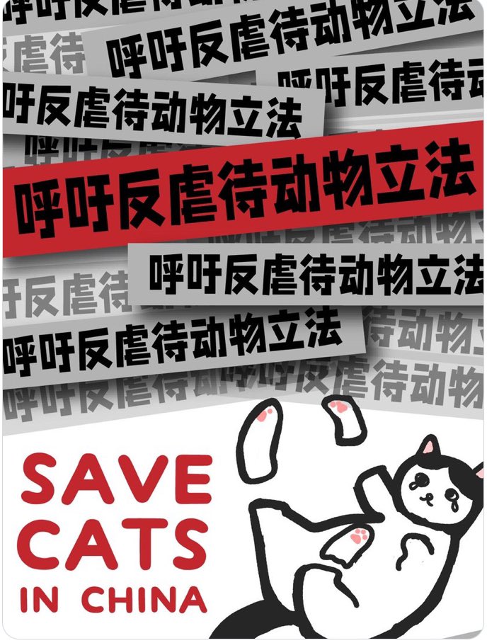 @Dylan___Dog #HelpFelineGuardians #StopChinaCatTorture #StopChinaCatAbuse #StopAnimalCruelty #Chinafacts @BBCWorld @ChnEmbassy_jp