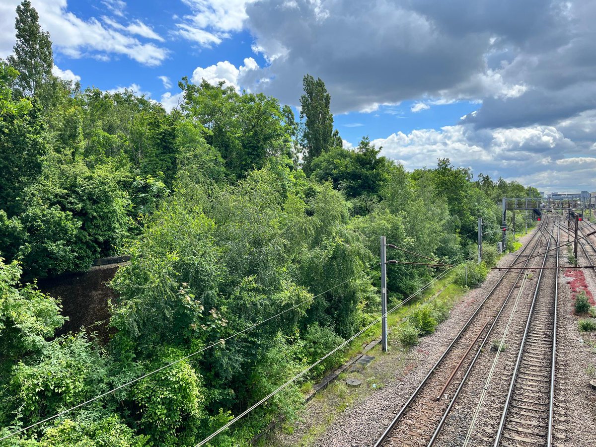 JustPlaneNews's tweet photo. This is part of a vital 4km habitat that @NetworkRailEC plan to destroy (21ft+) from June in nesting season. 
This green corridor=habitat for birds, bats &amp; owls.
It breaks their own nature strategy that states no biodiversity loss in 2024
@WildLondon @mikehakata @paulpowlesland https://t.co/VPFUSdk1uh