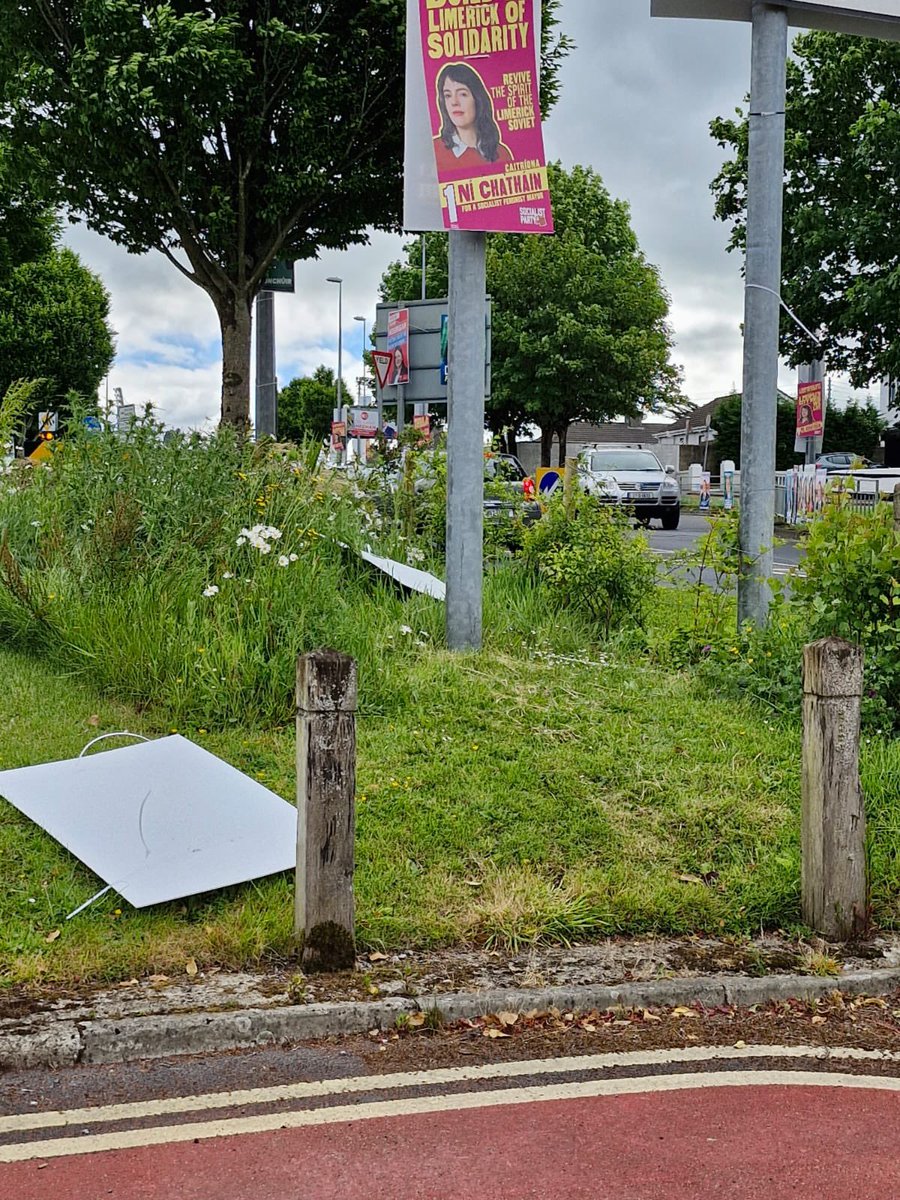My posters and other candidates’ posters from several parties ripped down both sides of Brookville Avenue @Live95fmNews @Limerick_Leader @limerickpost