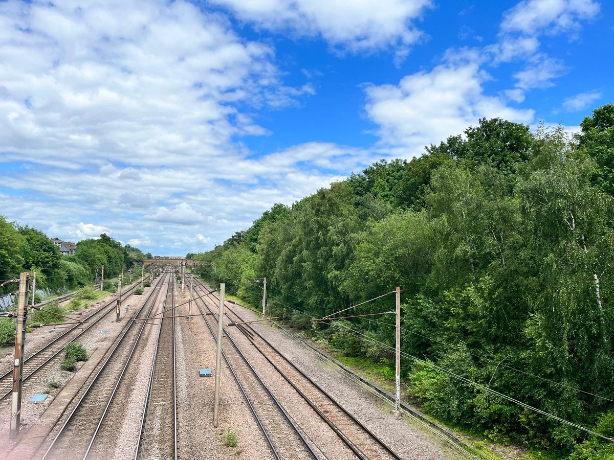 JustPlaneNews's tweet photo. This is part of a vital 4km habitat that @NetworkRailEC plan to destroy (21ft+) from June in nesting season. 
This green corridor=habitat for birds, bats &amp; owls.
It breaks their own nature strategy that states no biodiversity loss in 2024
@WildLondon @mikehakata @paulpowlesland https://t.co/VPFUSdk1uh