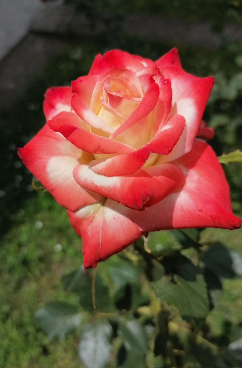 ❤️ <a href="/VesnaBjelica/">Vesna Bjelica★✊🏻</a>, <a href="/freececa/">Svetlana Stanković</a>, <a href="/ClandestinaEx/">Clandestina🎗️(novi nalog)</a>, <a href="/vera335/">❤️🧚‍♀️Vera🧚‍♀️❤️</a>, <a href="/vesna_9/">Vesna🌼🕊🌼</a>, <a href="/Nekostar16/">Nekostar #zumretakostovski#</a>, <a href="/Amra__Halilovic/">Amra Halilović</a>, <a href="/JelenaRadovi1/">Jelena Radović</a>, <a href="/Dzeki_Braun/">Jelena</a>...