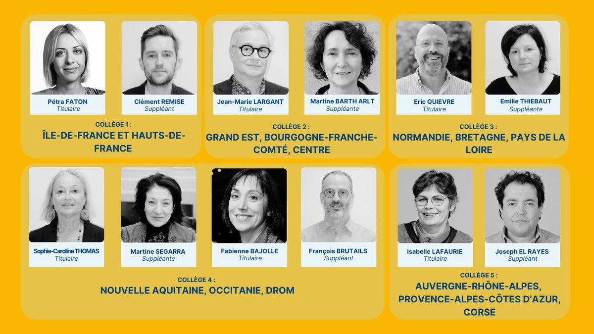 Les Chirurgiens-Dentistes de France tweet media