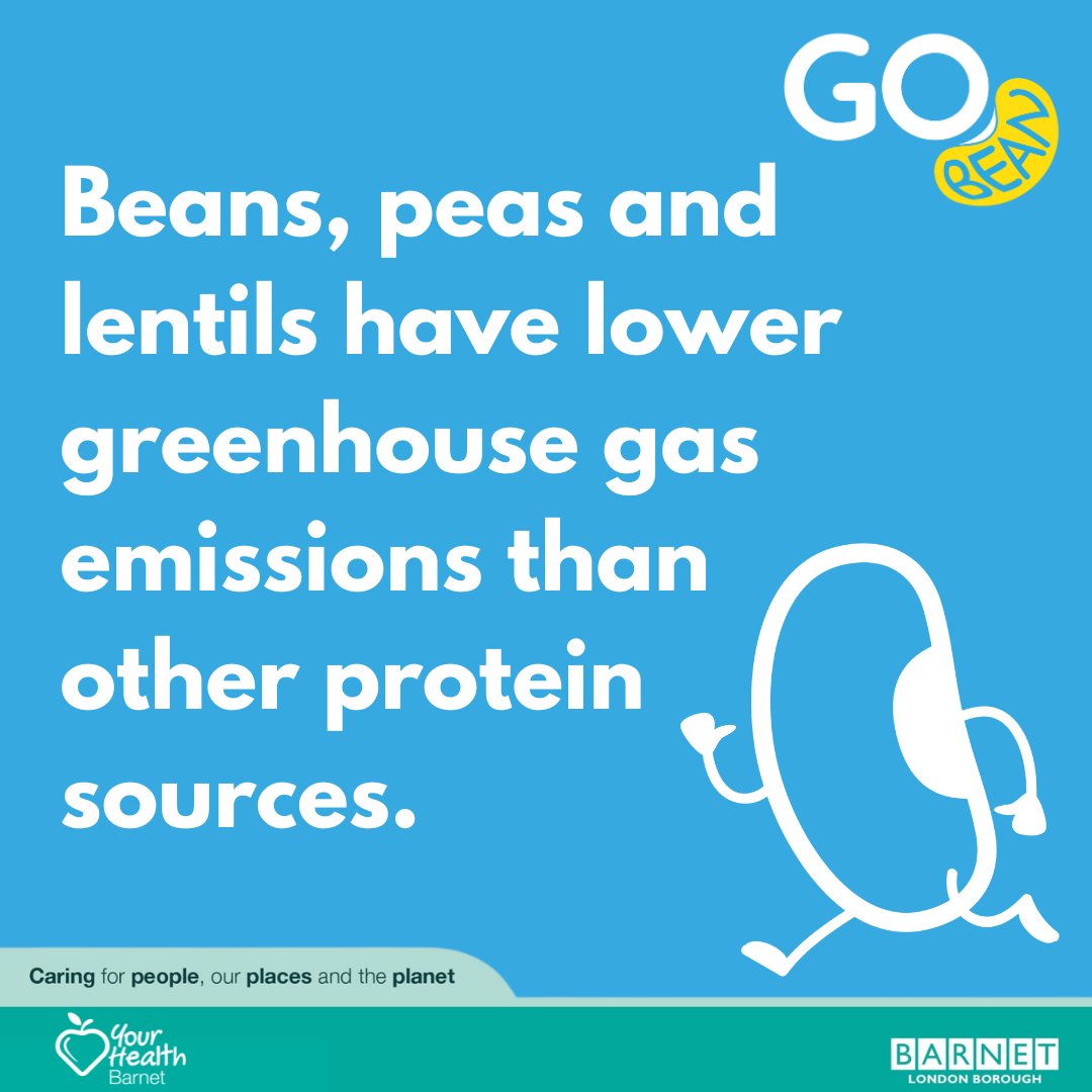 BarnetCouncil's tweet photo. Go green! Beans, peas and lentils have lower greenhouse gas emissions than other protein sources. 

We’re spilling the beans on sustainability and championing the humble bean in Barnet!  

Visit https://t.co/VoIs1RSusH 

Go lean, Go green, #GoBean! https://t.co/J8FvQZtwbe