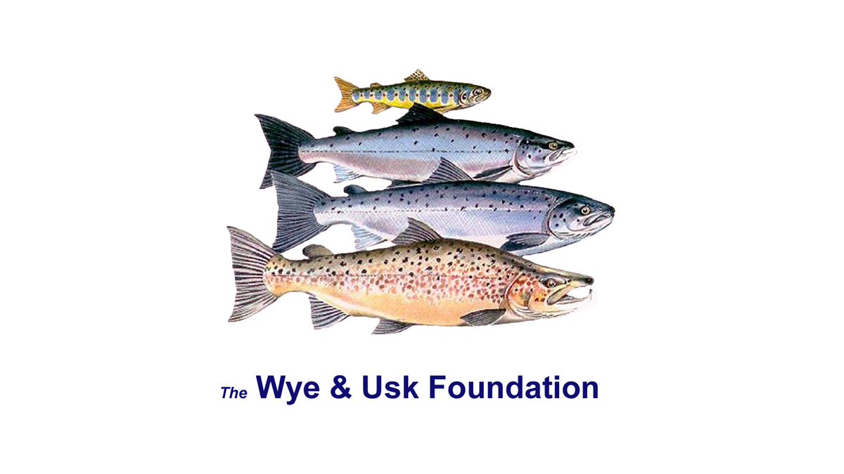 Nature-based Solutions Advisor wanted by @WUFoundation in #Talgarth See: ow.ly/r9rp50RMVQK #PowysJobs #EnvironmentJobs Closes 10 June 2024