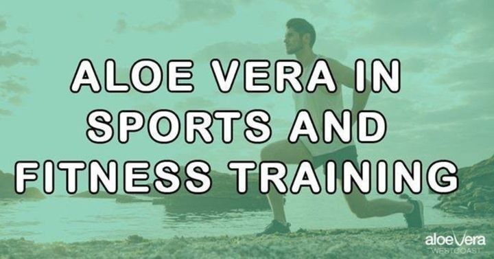 Read the complete blog post on our website on how Aloe Vera is beneficial in sports and fitness training 👉👉 conta.cc/3qS5xwT

#sports #fitness #fitnesstraining #workout #sportsandfitness #health #healthtips #aloevera #aloeverabenefits #aloeverauses