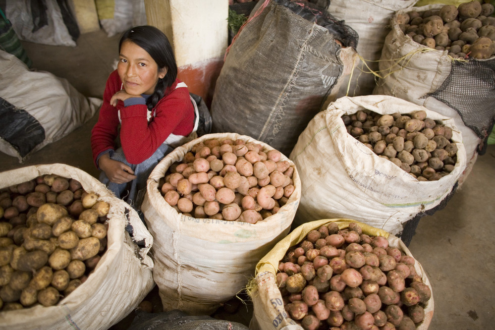 Gaby Quispe from Patacamaya, #Bolivia, embraced new agricultural practices through training activities supported by IFAD. From better seed selection to innovative storage techniques, she's improved her potato yield and empowered other women farmers. ➡️ow.ly/BeR650S1AaF