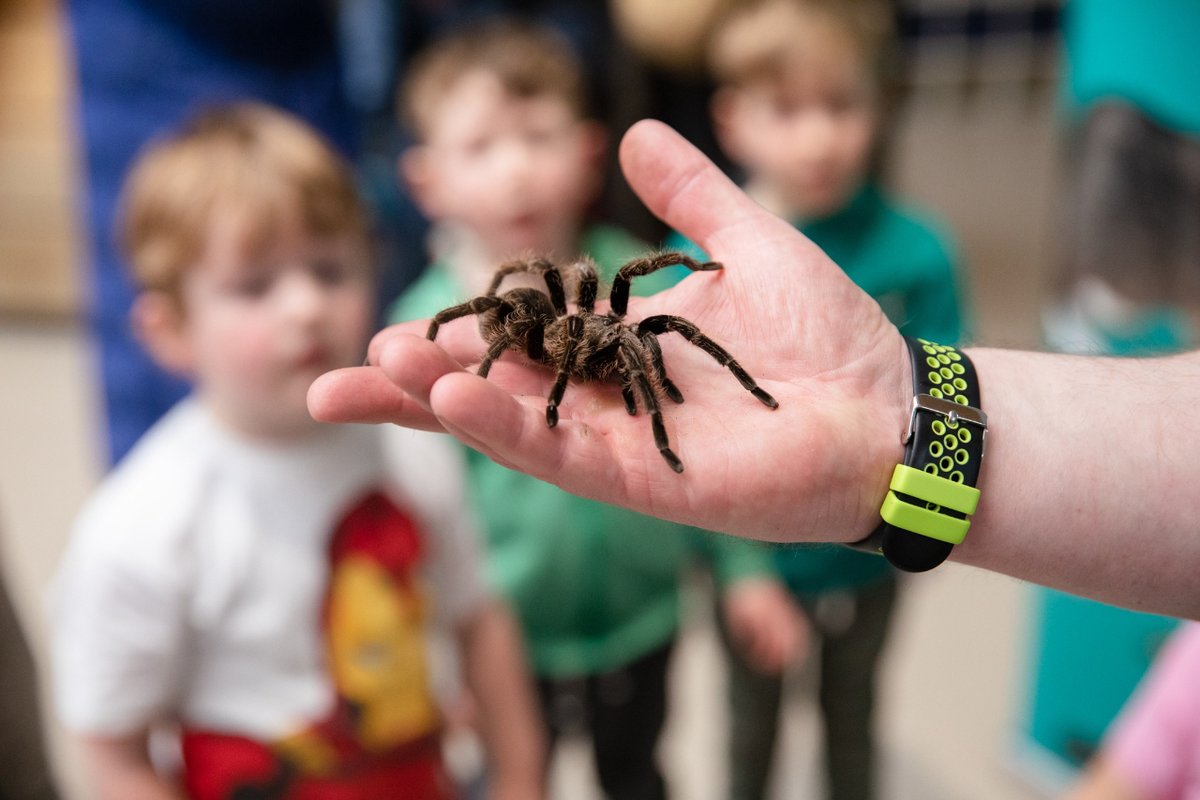 There's still time to catch 'The Minibeast Show' at @scienceatlife - but you don't have long, it ends tomorrow!! 🐛🕷️ Are you brave enough to get face-to-face with tarantulas, millipedes and more!? 👀😨 Included with your science centre ticket 🎟️