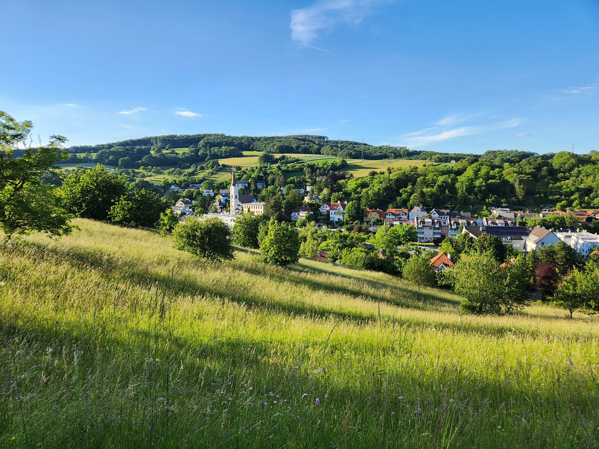 Back to old research stomping grounds of Austria and Vienna.