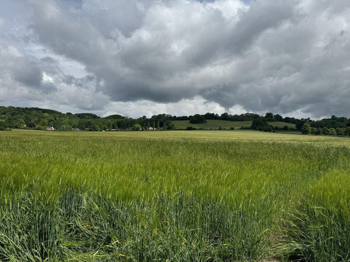 EEMancini's tweet image. It is a (slightly cloudy) #WindowsXP kind of morning in England today #PilgrimsWay