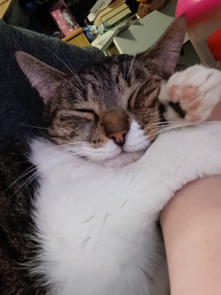 5th_Alice tweet media