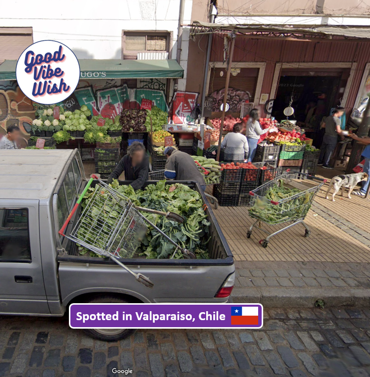 StreetviewVagabond tweet media