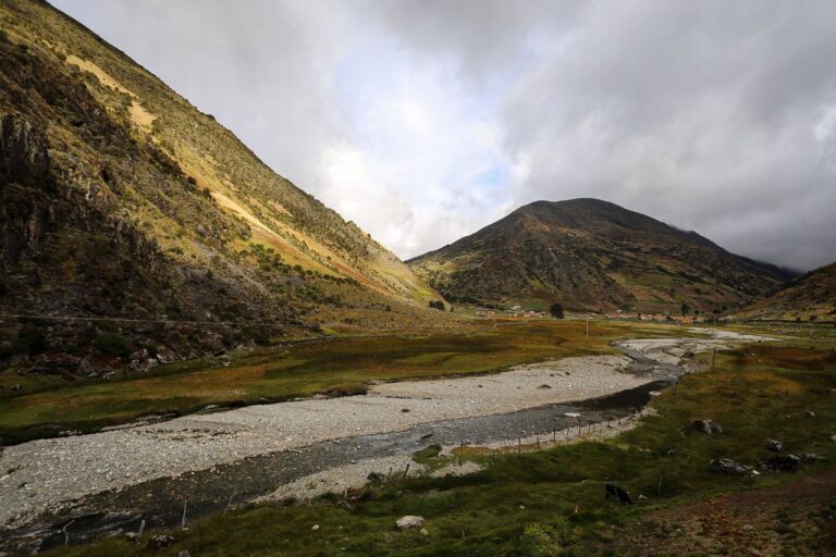 Gabriela Jiménez tweet media